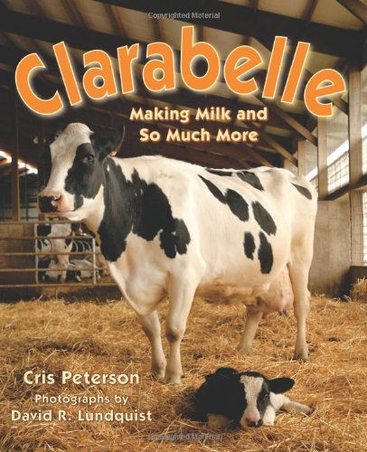 Clarabelle: Making Milk and So Much More - Cris Peterson - Books - Astra Publishing House - 9781620915905 - September 1, 2013