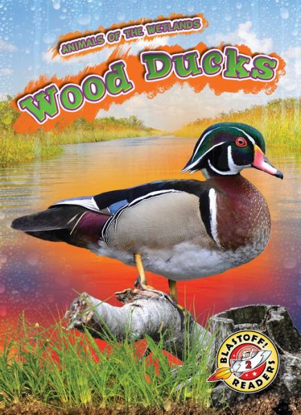 Cover for Rachel Grack · Wood Ducks (Hardcover Book) (2019)