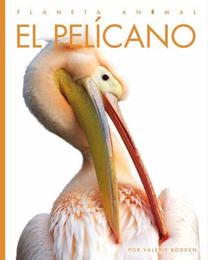 Cover for Valerie Bodden · Pelícano (Buch) (2023)