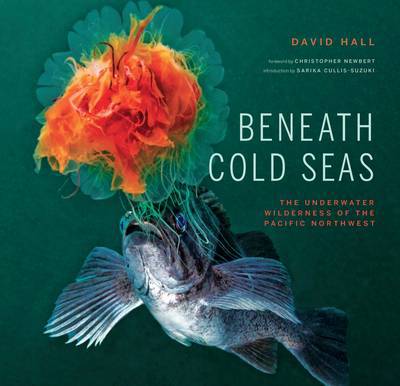 Cover for David Hall · Beneath Cold Seas: The Underwater Wilderness of the Pacific Northwest (Hardcover Book) [UK edition] (2011)