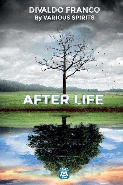 Cover for Divaldo Pereira Franco · After Life (Taschenbuch) (2020)