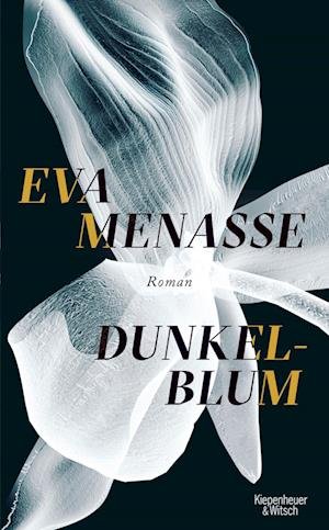 Cover for Eva Menasse · Dunkelblum (Hardcover bog) (2021)