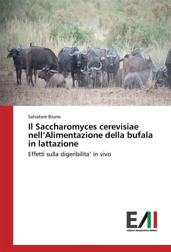 Cover for Bruno · Il Saccharomyces cerevisiae nell' (Book)