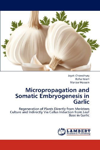 Cover for Monzur Hossain · Micropropagation and Somatic Embryogenesis in Garlic: Regeneration of Plants Directly from Meristem Culture and Indirectly Via Callus Induction from Leaf Base in Garlic (Paperback Book) (2012)