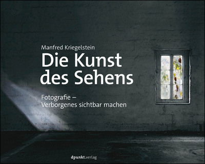 Cover for Kriegelstein · Die Kunst des Sehens (Bok)