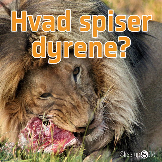 Cover for Marianne Randel Søndergaard · Pil: Hvad spiser dyrene? (Paperback Book) [1er édition] (2019)