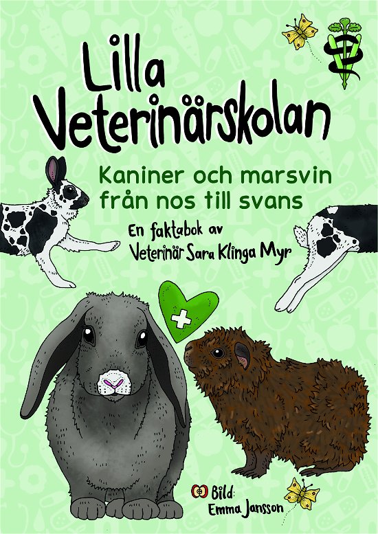 Cover for Sara Klinga Myr · Lilla veterinärskolan - Kaniner och marsvin från nos till svans (Inbunden Bok) (2024)