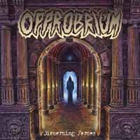 Cover for Opprobrium · Discerning Forces (LP) (2017)