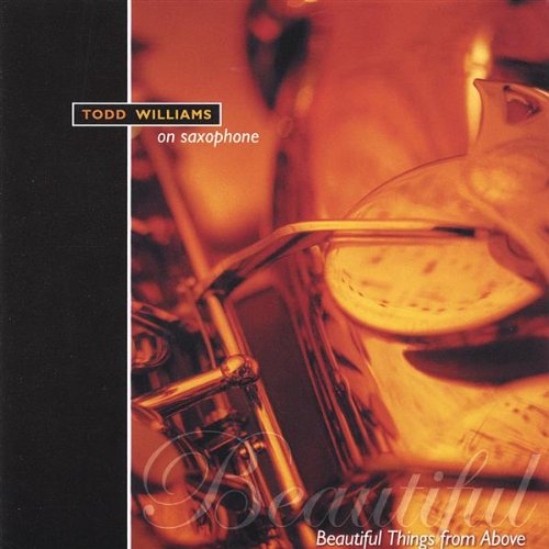 Cover for Todd Williams · Beautiful Things from Above (CD) (2004)