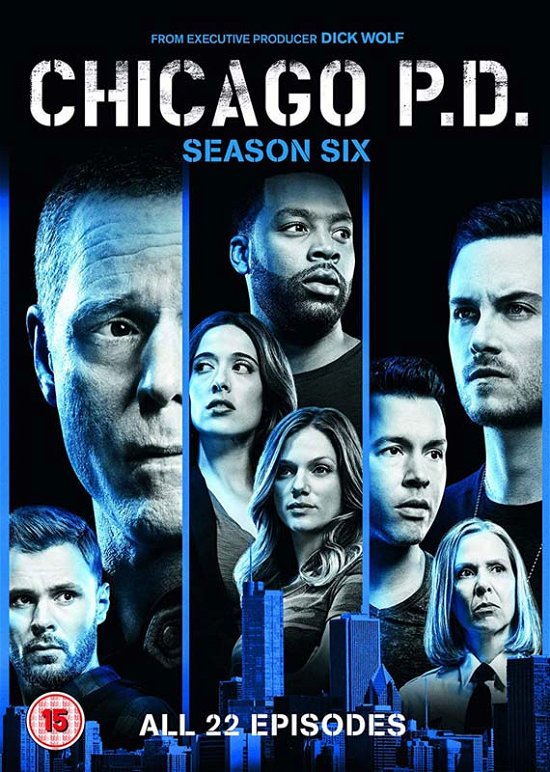 Cover for Chicago Pd Season 6 Set (DVD) (2019)