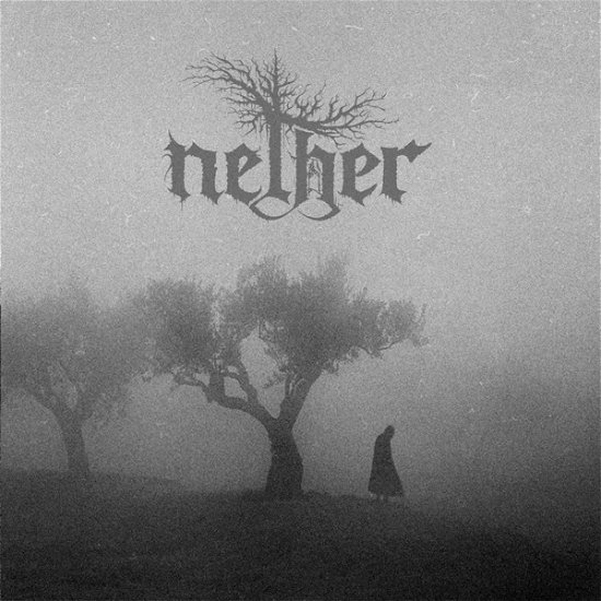 Cover for Nether · Between Shades And Shadows (CD) (2020)