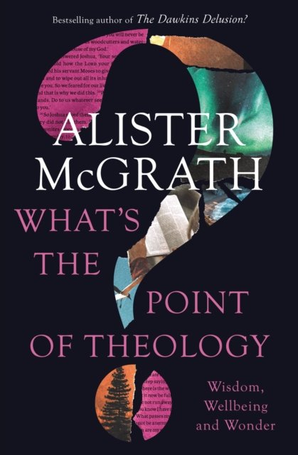 Cover for McGrath Alister E. McGrath · What's the Point of Theology?: Wisdom, Wellbeing and Wonder (Paperback Book) (2022)
