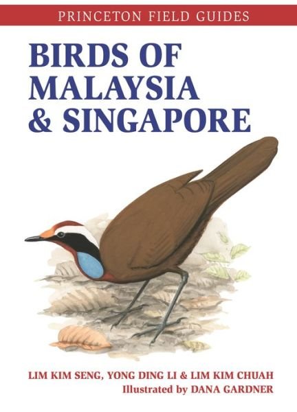 Cover for Lim Kim Seng · Birds of Malaysia and Singapore - Princeton Field Guides (Paperback Book) (2020)