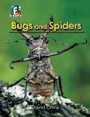 Cover for David Orme · Bugs and Spiders (Fact to Fiction) (Paperback Book) [Reprint edition] (2010)