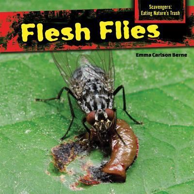 Cover for Emma Carlson Berne · Flesh flies (Book) [First edition. edition] (2014)