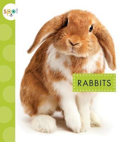 Cover for Mari C Schuh · Rabbits (Paperback Book) (2018)