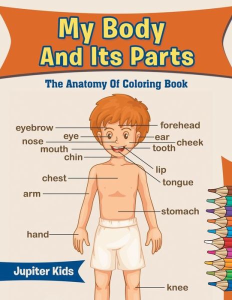 Cover for Jupiter Kids · My Body And Its Parts: The Anatomy Of Coloring Book (Paperback Book) (2016)