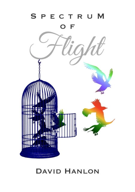 Spectrum Of Flight - David Hanlon - Libros - Lulu.com - 9781794750906 - 22 de enero de 2020