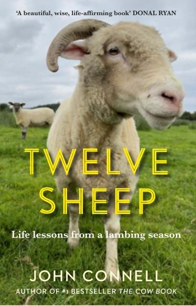 Cover for John Connell · Twelve Sheep: Life lessons from a lambing season (Gebundenes Buch) [Main edition] (2024)