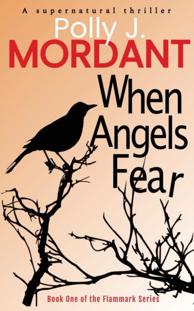 Cover for P J Mordant · When Angels Fear (Paperback Book) (2020)