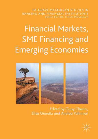 Financial Markets, SME Financing and Emerging Economies - Palgrave Macmillan Studies in Banking and Financial Institutions -  - Książki - Springer International Publishing AG - 9783319548906 - 23 października 2017