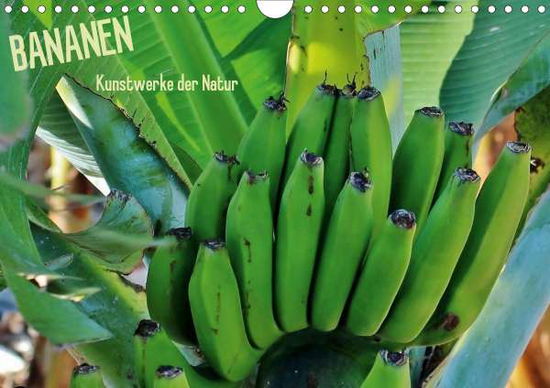 Cover for Ganz · Bananen (Wandkalender 2021 DIN A4 (Book)