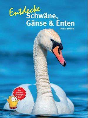 Cover for Thomas Schmidt · Entdecke Schwäne, Gänse &amp; Enten (Book) (2022)