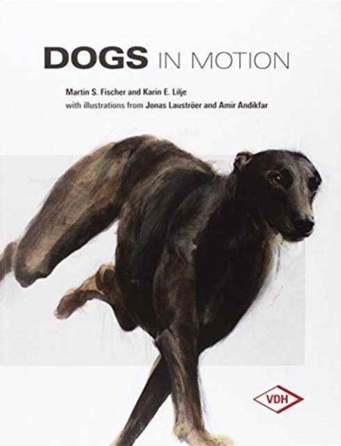 Cover for Fischer · Dogs in Motion (Hardcover bog) (2016)