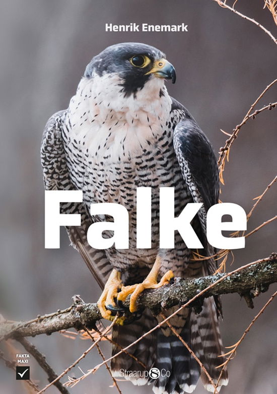 Cover for Henrik Enemark · Maxi: Falke (Hardcover Book) [1º edição] (2024)