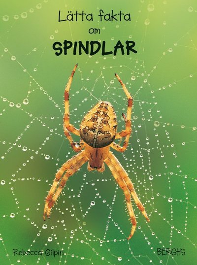 Cover for Rebecca Gilpin · Lätta fakta: Lätta fakta om spindlar (Innbunden bok) (2013)