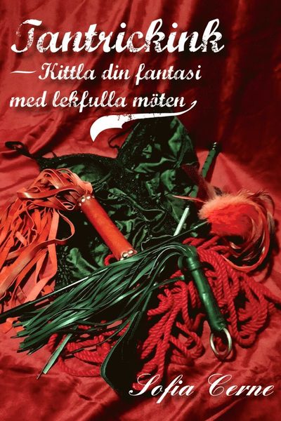 Cover for Tantrickink - Kittla din fantasi med lekfulla möten (Book) (2021)