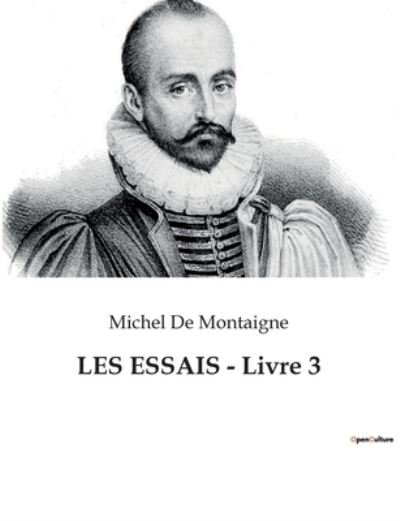 Cover for Michel De Montaigne · LES ESSAIS - Livre 3 (Paperback Bog) (2023)