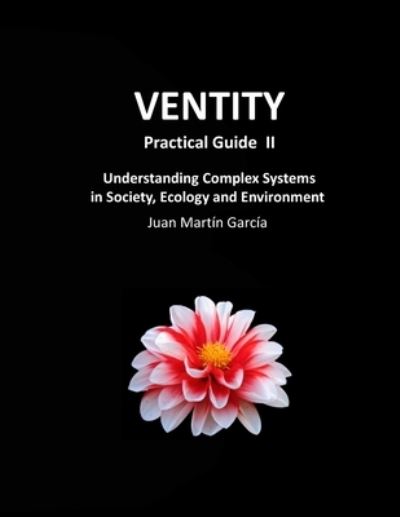 Cover for Juan Martin Garcia · VENTITY Practical Guide II (Paperback Book) (2021)