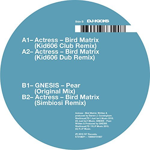 Cover for Actress · Bird Matrix (LP) [Remixes edition] (2015)