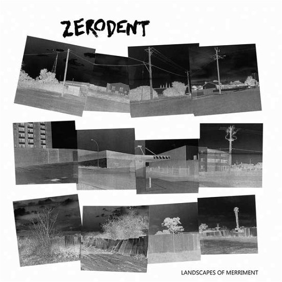 Cover for Zerodent · Landscapes Of Merriment (LP) (2018)