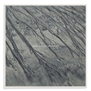 Cover for Steve Jansen · Tender Extinction (CD) (2016)