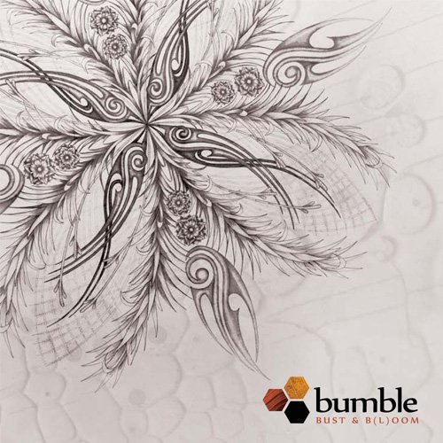 Cover for Bumble · Bust &amp; Boom (CD) [size L] (2011)