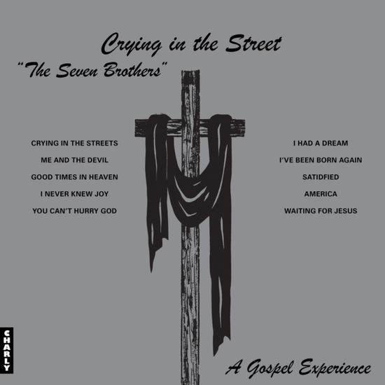 Cover for Seven Brothers · Crying In The Street (LP) (2025)