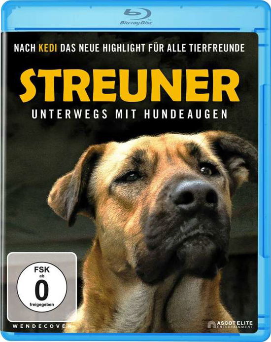 Cover for Elizabeth Lo · Streuner-unterwegs Mit Hundeaugen (Blu-ray) (2021)