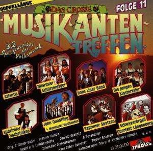 Das Grosse Musikantentreffen Folge 11 - Various Artists - Muziek - TYROLIS - 9003549505907 - 31 december 1994