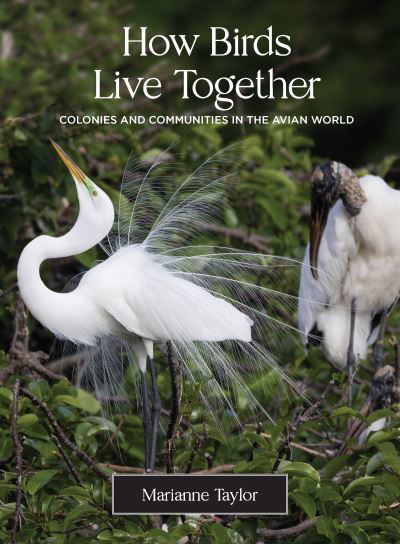 How Birds Live Together: Colonies and Communities in the Avian World - Marianne Taylor - Books - Princeton University Press - 9780691231907 - May 10, 2022