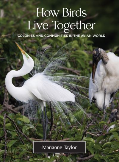 Cover for Marianne Taylor · How Birds Live Together: Colonies and Communities in the Avian World (Hardcover Book) (2022)