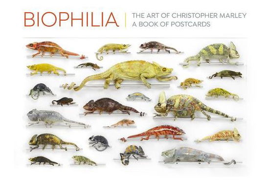 Cover for Biophilia the Art of Christopher Marley (Postcard) (2019)