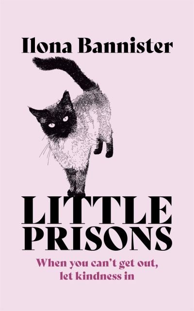 Cover for Ilona Bannister · Little Prisons (Hardcover Book) (2022)