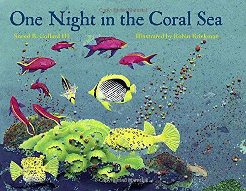 Cover for Collard, Sneed B., III · One Night in the Coral Sea (Paperback Book) (2006)