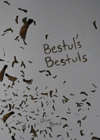 Cover for Oliver Bestul · Bestul's Bestuls (Paperback Book) (2020)