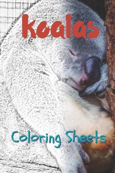 Cover for Julian Smith · Koala Coloring Sheets (Pocketbok) (2019)