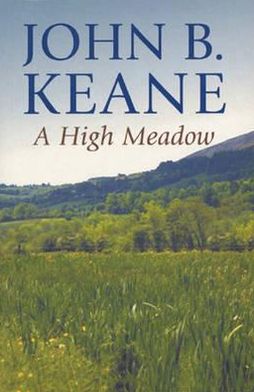 Cover for John B. Keane · A High Meadow (Paperback Book) (1994)