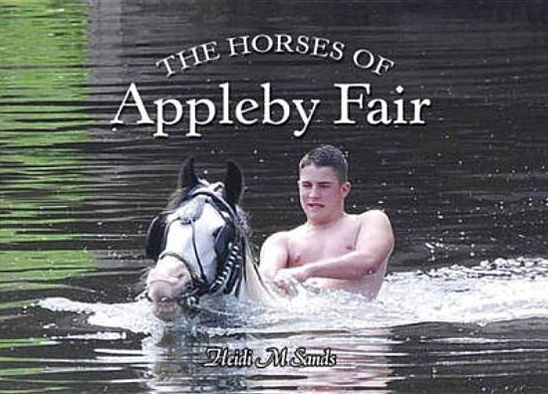 Cover for Heidi M. Sands · The Horses of Appleby Fair (Paperback Book) (2011)