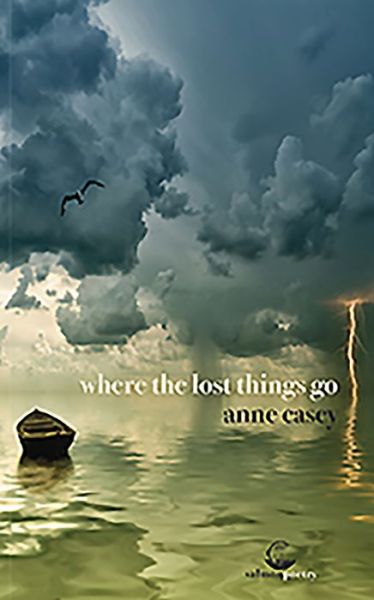 Where the Lost Things Go - Anne Casey - Books - Salmon Poetry - 9781910669907 - September 28, 2017